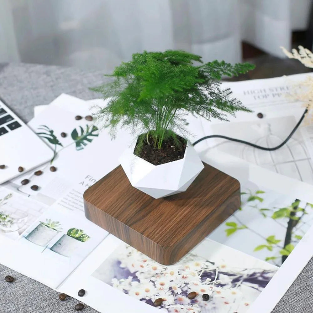 Levitating Air Bonsai Pot - Magnetic Floating Planter with Rotating Suspension