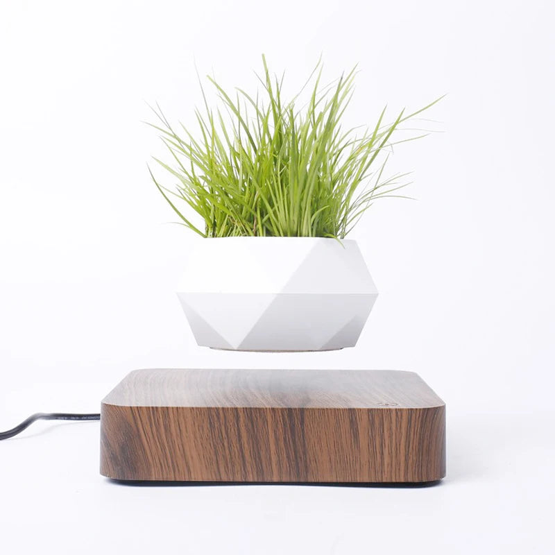 Levitating Air Bonsai Pot - Magnetic Floating Planter with Rotating Suspension