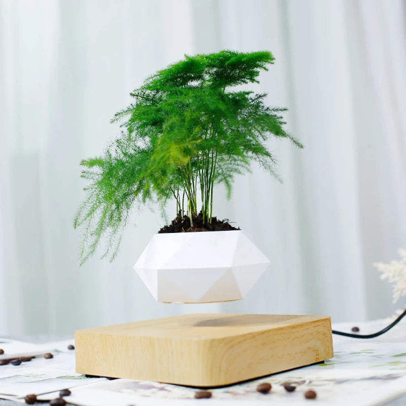 Levitating Air Bonsai Pot - Magnetic Floating Planter with Rotating Suspension