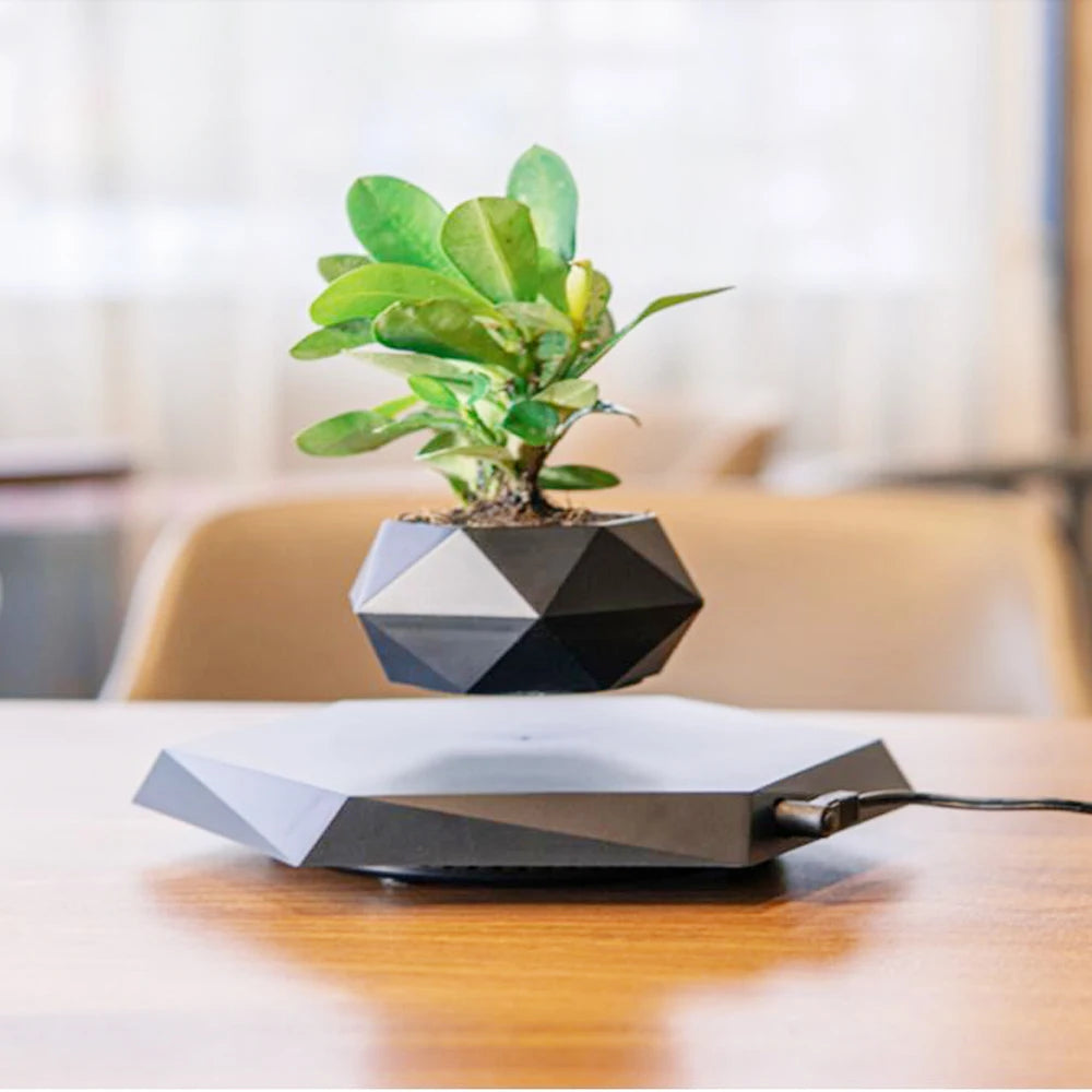 Levitating Air Bonsai Pot - Magnetic Floating Planter with Rotating Suspension