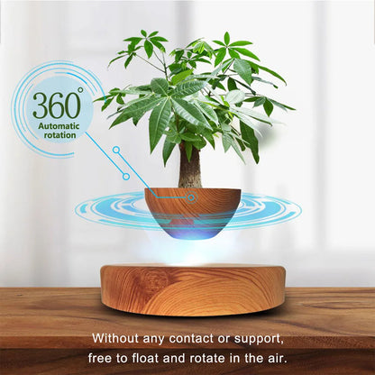 Levitating Air Bonsai Pot - Magnetic Floating Planter with Rotating Suspension